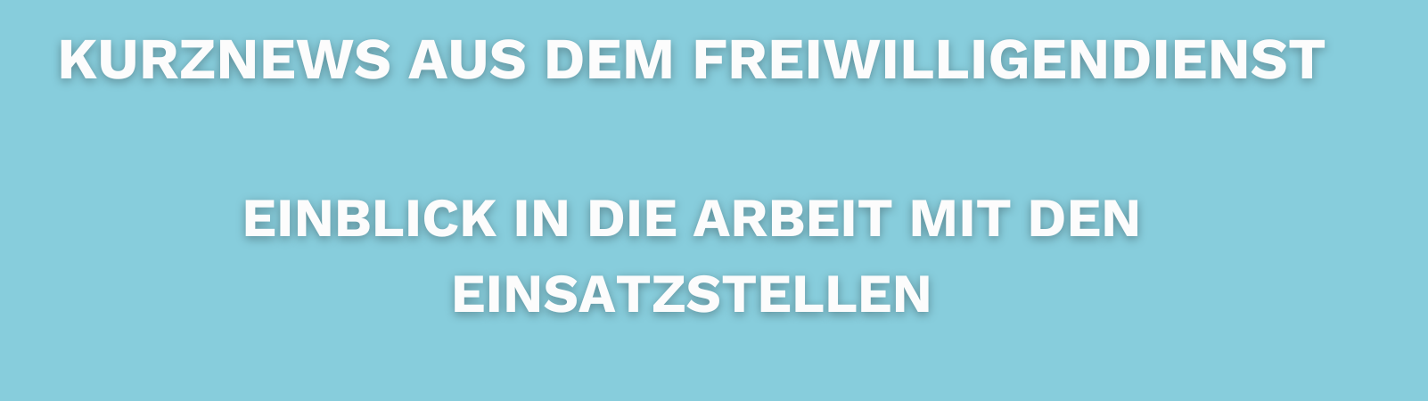 Kurznews aus den Freiwilligendiensten